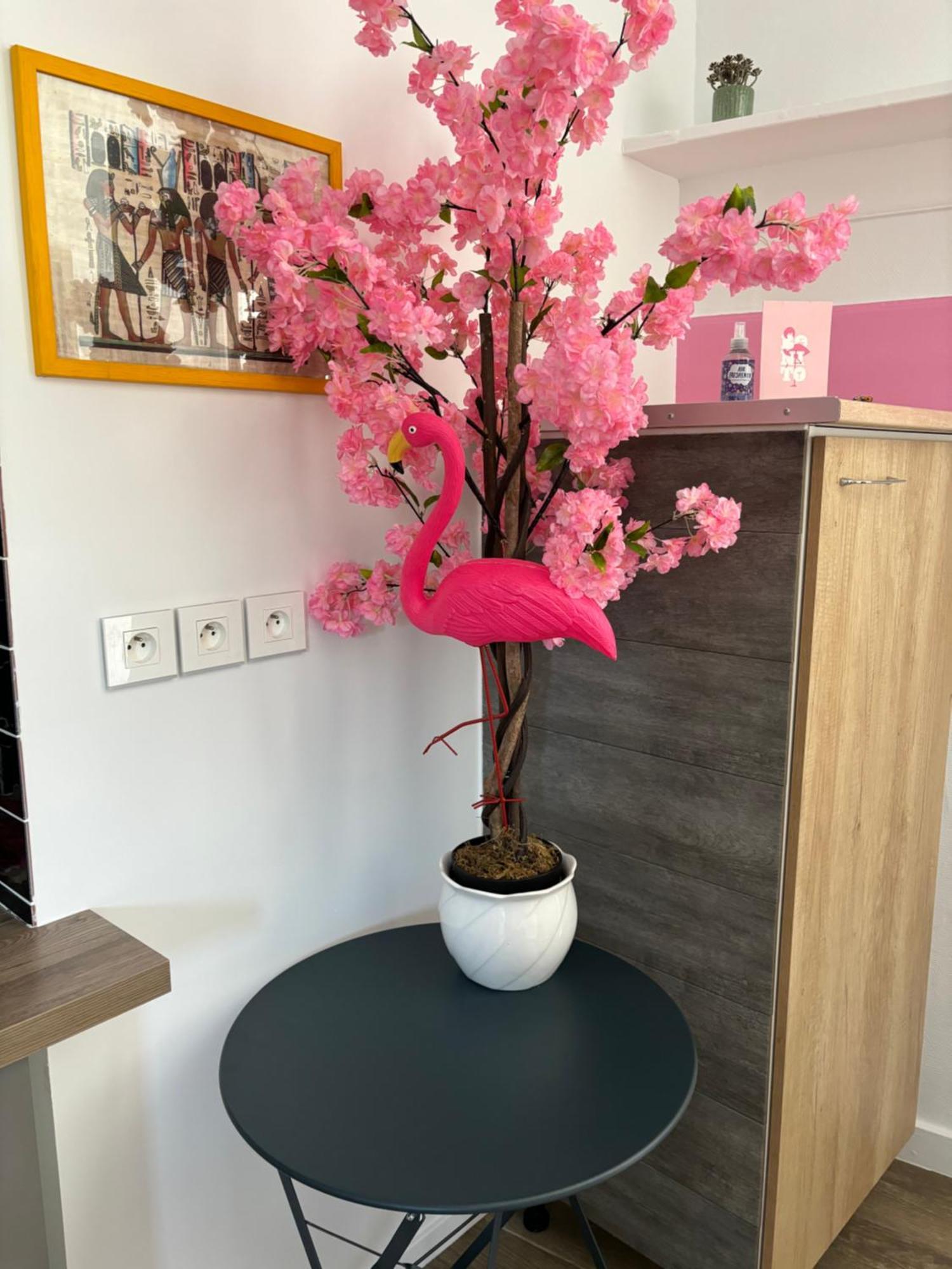Hébergement de vacances Maison Pink Flamingo Aeroport 2 A 4 Personnes Tillé